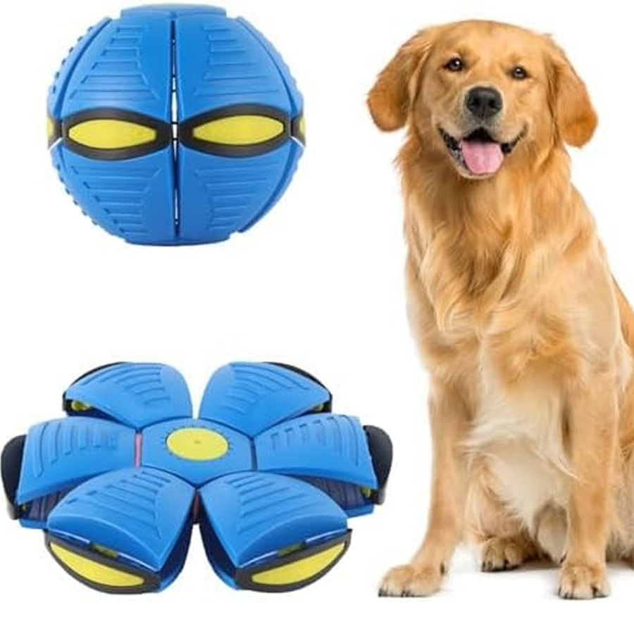 Transforming Flying Disc Dog Ball Toy
