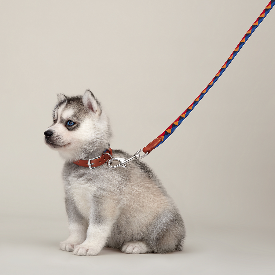 Premium Slim Bridle Leather Dog Harness