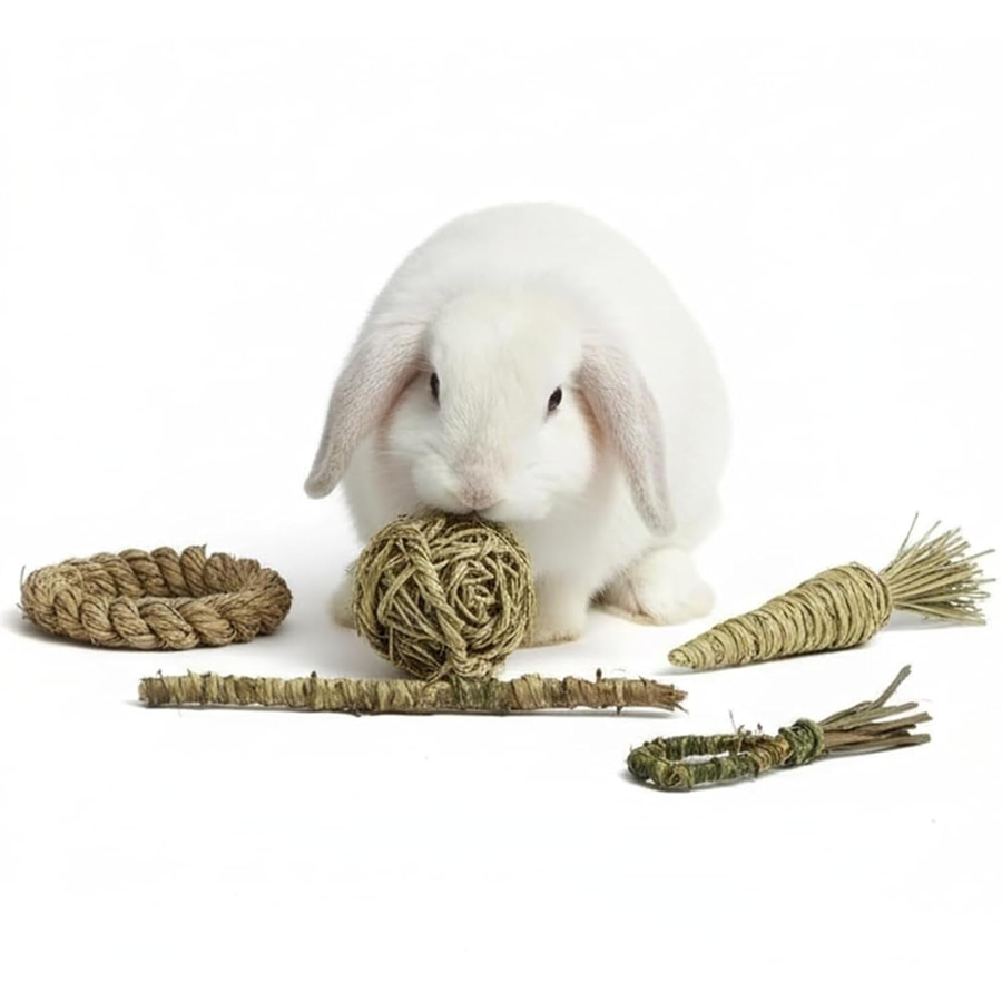 Timothy Hay Natural Chew Toy Set